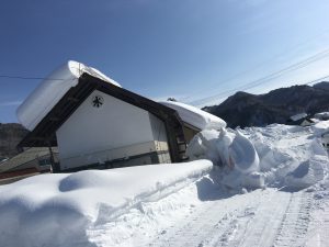 蔵は人が住んでいないのでキンキンに冷えて、雪がくっついて落ちづらい。そんな屋根にもヤネラク。 でも今回の雪は多すぎでした。